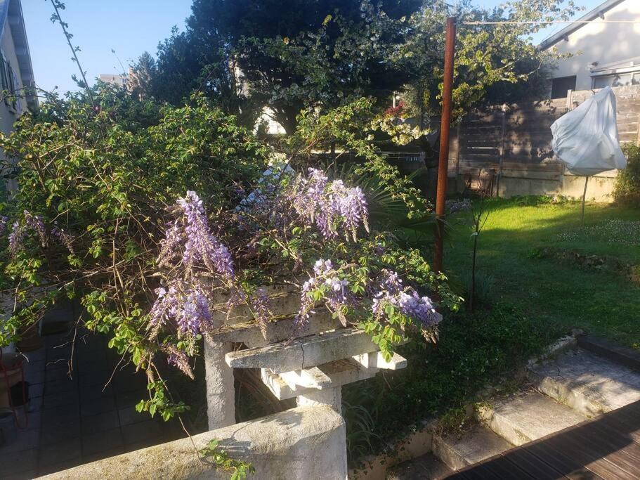 Studio Buena Vista Avec Terrasse Sur Jardin Bron Esterno foto
